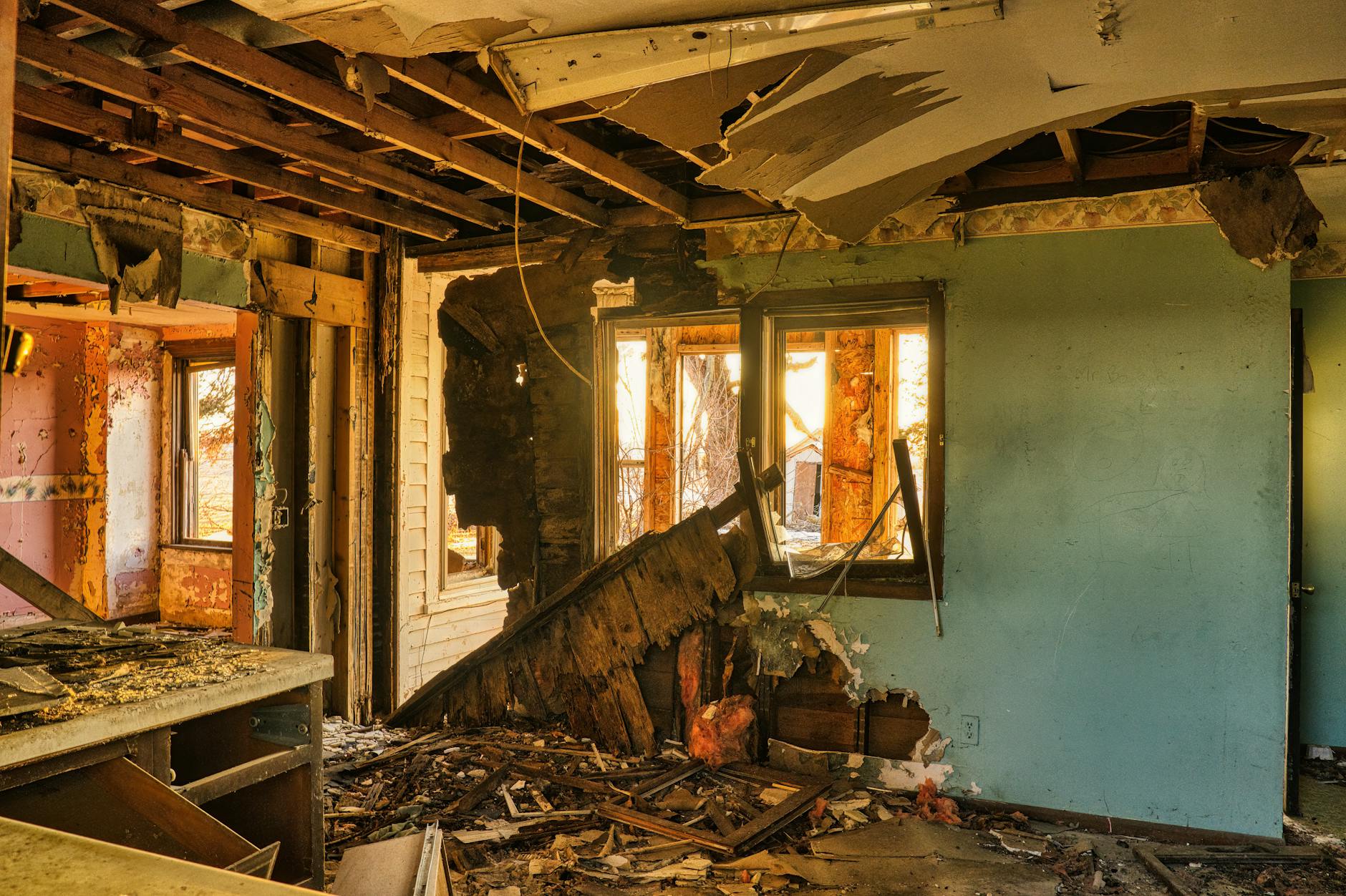 Lakeland's Leading Mold Removal Company — Lakeland, FL